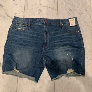 New plus distressed shorts high rise 22 24